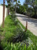 DSCN6426.JPG