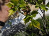 DSCN6448.JPG
