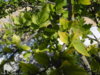 DSCN6450.JPG
