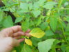 DSCN4483.JPG