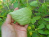 DSCN4484.JPG