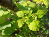 DSCN4490.JPG