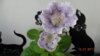 DSC01068.JPG