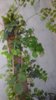 20170716_183357.jpg