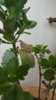 20170718_113034.jpg