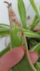 20170718_113021.jpg