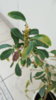 20170718_113110.jpg