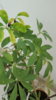 20170718_113056.jpg