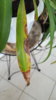 20170718_113131.jpg