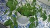 WP_20170718_13_26_51_Pro.jpg