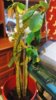 P_20170718_171652_HDR.jpg