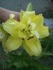 DSCN0323.JPG