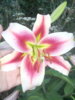 DSCN0326.JPG