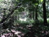 DSC05427.JPG