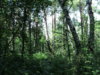 DSC05432.JPG