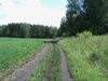 DSC05434.JPG