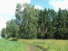 DSC05438.JPG