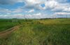 P_20170703_142353.jpg