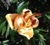 20170722_130559.jpg