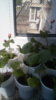 20170802_150610.jpg