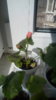 20170802_150644.jpg