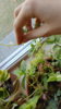 20170801_112144.jpg
