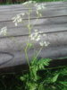 20170803_165028.jpg