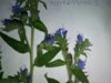 IMG_20170807_215511.jpg