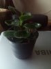20170812_191345.jpg