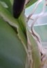 20170814_081228.jpg