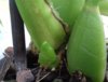 20170814_124435.jpg
