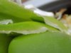 DSCN1105.JPG
