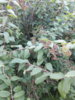 20170810_200406.jpg