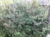 20170810_200401.jpg