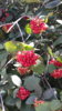 20170707_102739.jpg