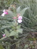 20170815_202540.jpg