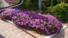 IMG_20170713_164526.jpg