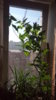 20170813_093122.jpg