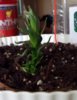 20170819_175819.jpg