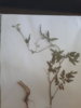 20170827_161606.jpg