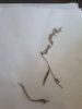 20170827_161625.jpg
