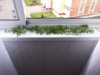 20170829_083949.jpg