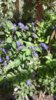 20170913_140502.jpg