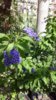 20170913_140508.jpg