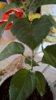 WP_20170917_13_18_54_Pro.jpg
