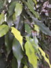 20171008_134814.jpg