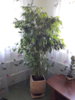 20171008_134617.jpg