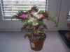 IMG_2017-10-14_143124.jpg