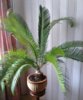 IMG-20171026-WA0002.jpg