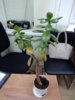 IMG_20171026_160037.jpg